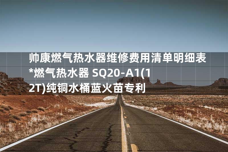 帅康燃气热水器维修费用清单明细表*燃气热水器 SQ20-A1(12T)纯铜水桶蓝火苗专利